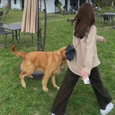 搞上大明星第三季